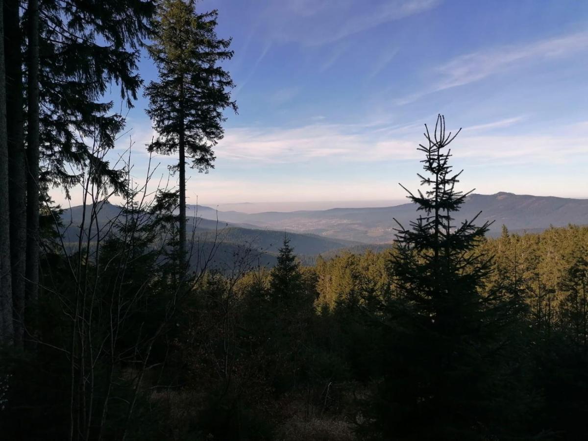 Pension Reindlhoeh Lohberg Esterno foto