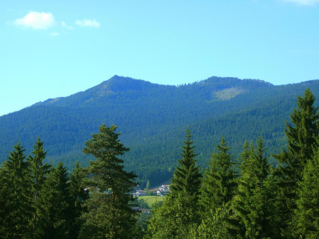 Pension Reindlhoeh Lohberg Esterno foto