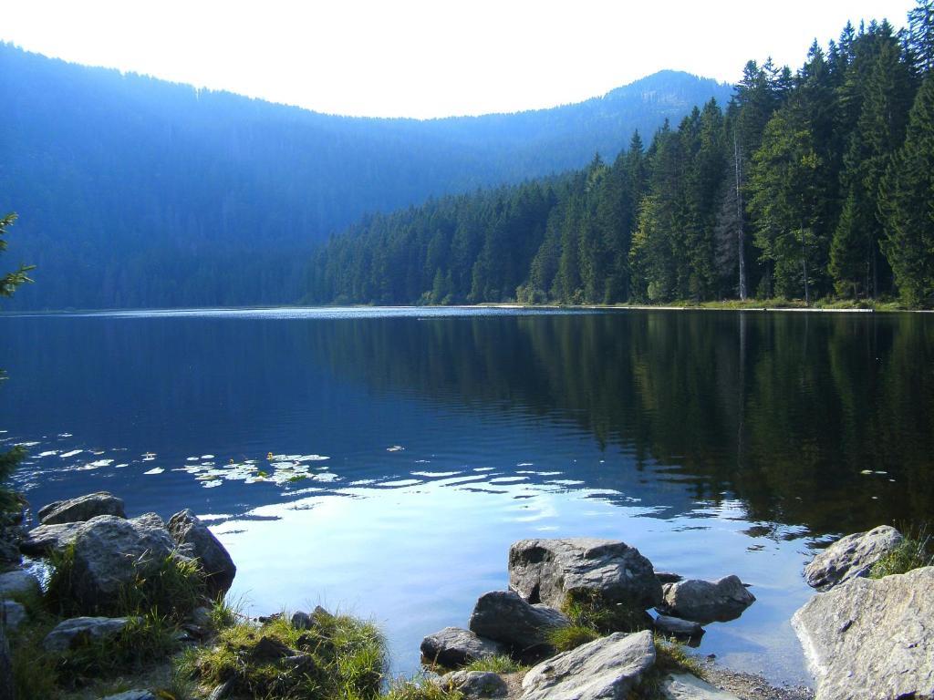 Pension Reindlhoeh Lohberg Esterno foto